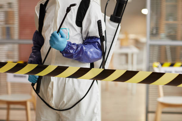 Professional Blood Cleanup technician working in Diamond, IL