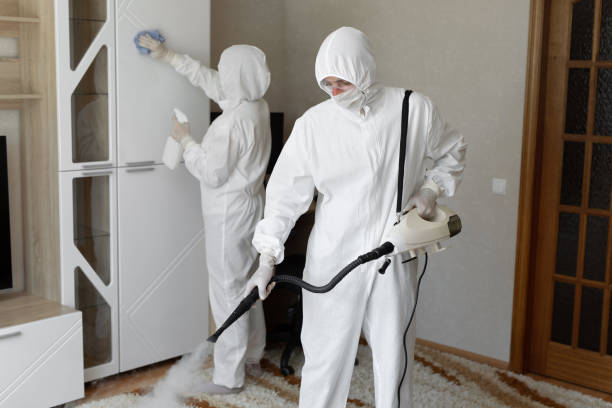 24/7 Emergency Blood Cleanup experts in Diamond, IL